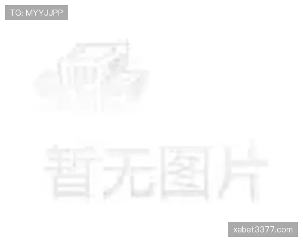掷界外球的规则条件及裁判判罚标准详解 掷界外球的规则条件及裁判判罚标准详解