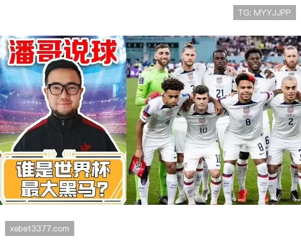 世界杯E组防守最稳的黑马球队